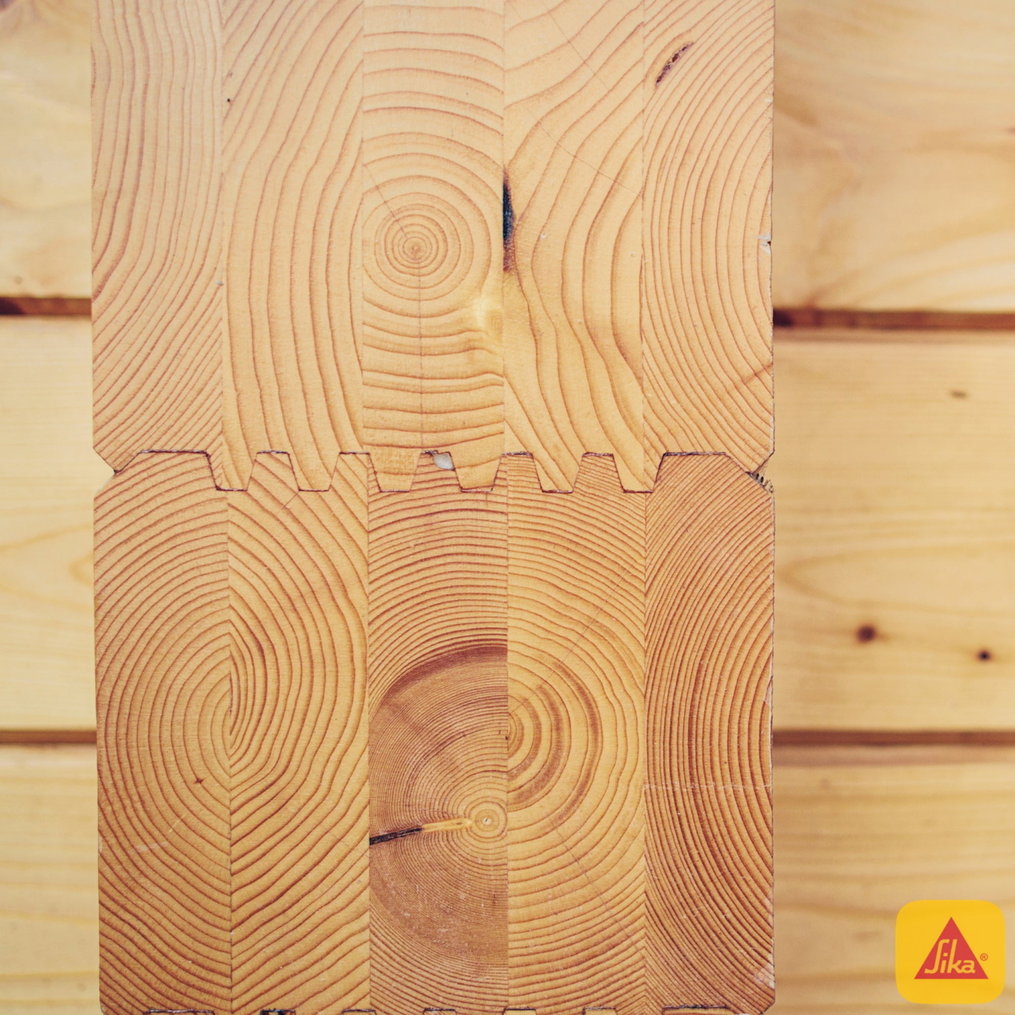 Sikabond 231 Cola Fría Madera Extra Firme 1 Kg