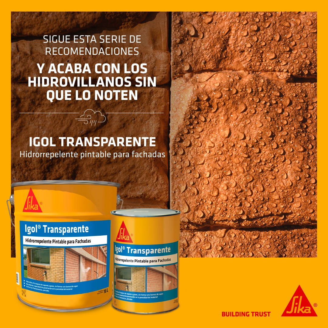 IGOL TRANSPARENTE - Hidrorrepelente Base Silicona, Tb200lts