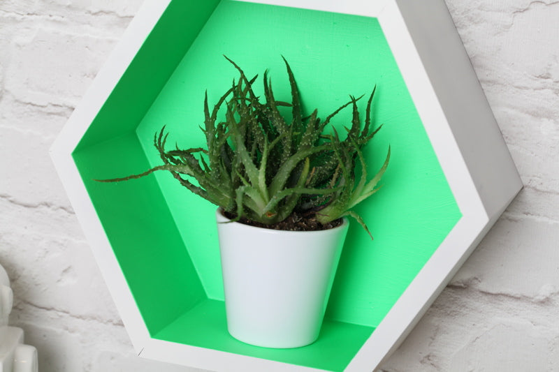 SPRAY FLUORESCENTE VERDE - 340 g