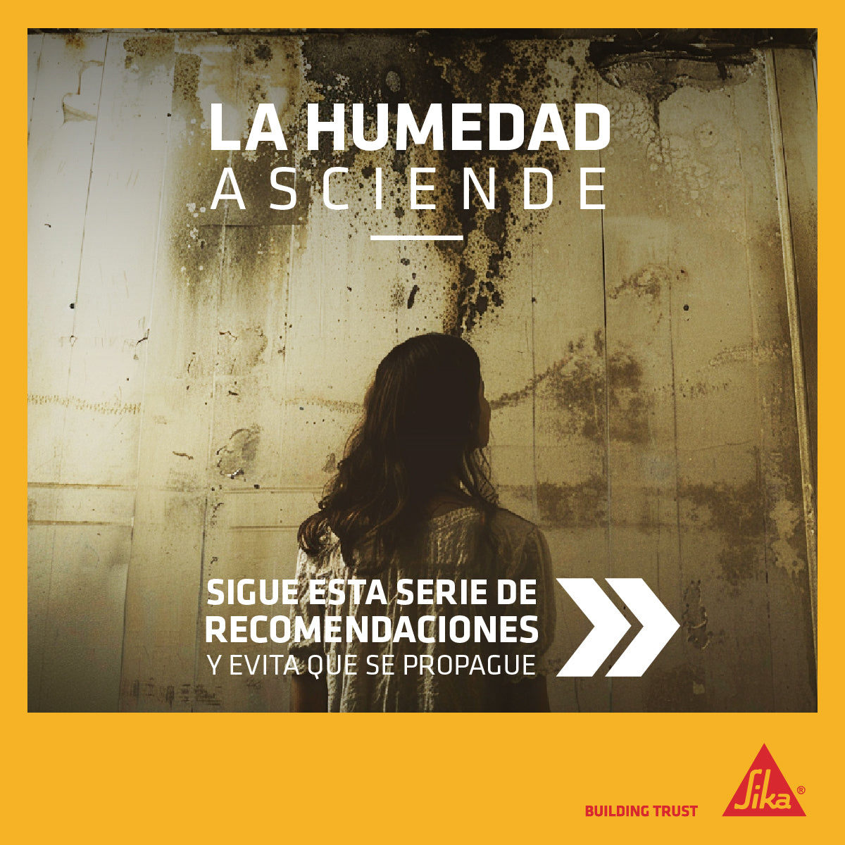 SIKAMUR INJECTOCREAM-100 - para la Humedad 300cc