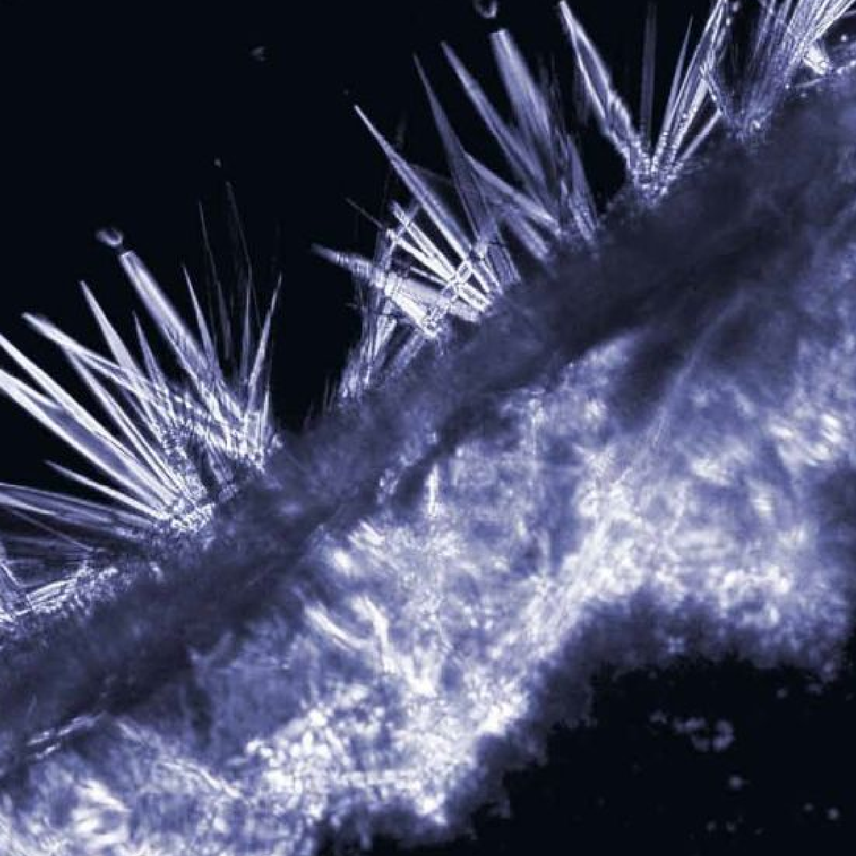 CAVE EUCON VANDEX AM-10 - Saco de 10 kg