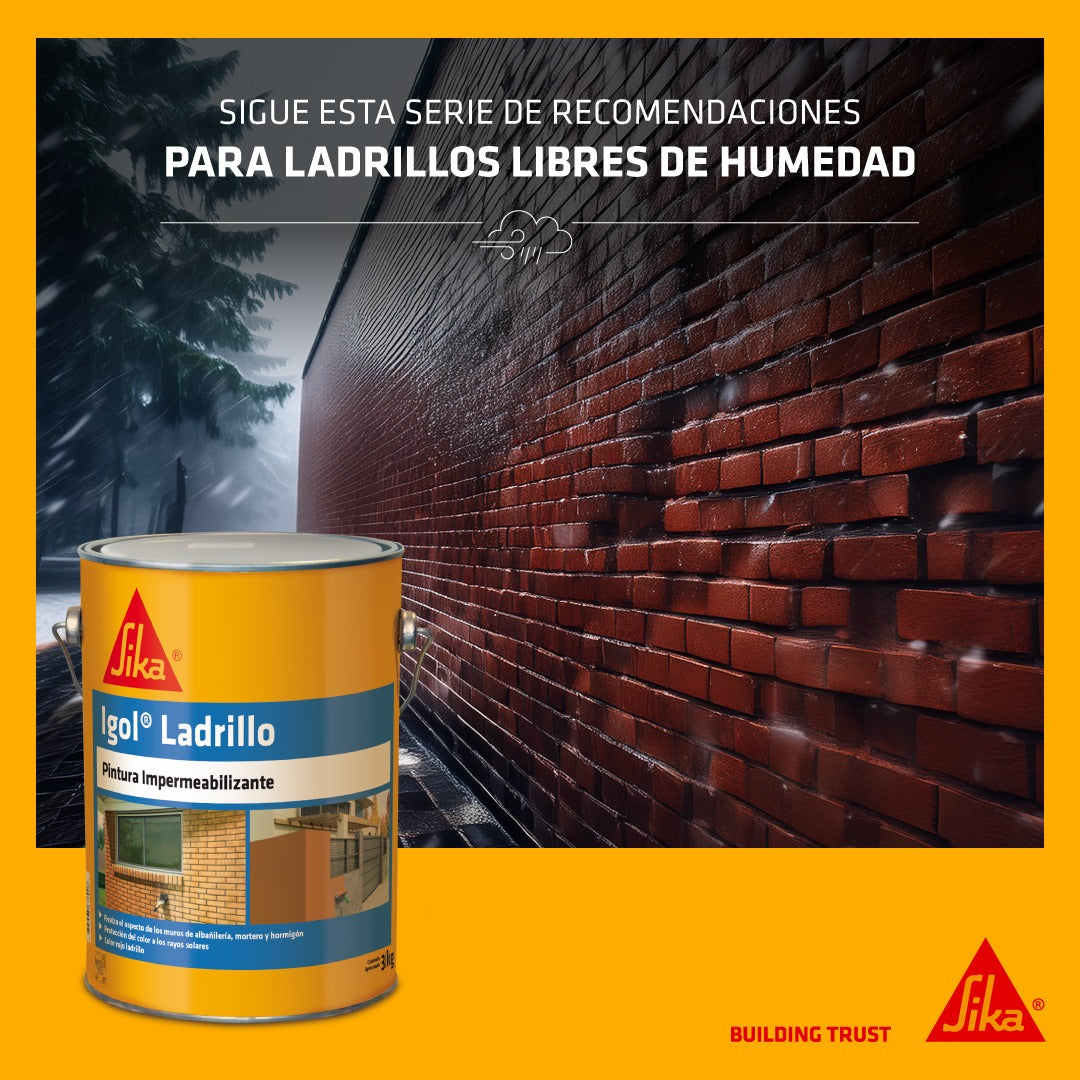 IGOL LADRILLO - Hidrorrepelente  listo para usar, Galon 3 Kg