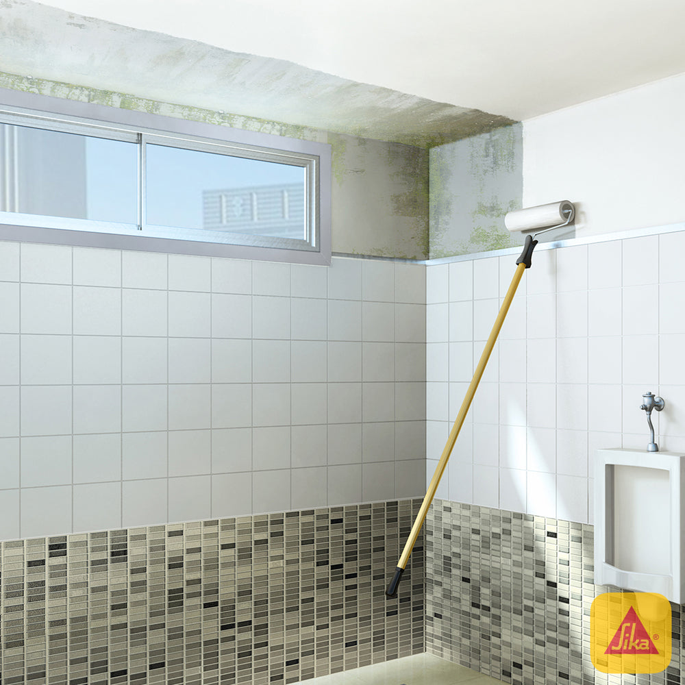 IGOL PLUS - Tratamiento para la Humedad y Sales en Muros, Bidon 4,5lts