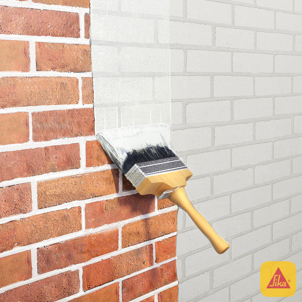 IGOL PLUS - Tratamiento para la Humedad y Sales en Muros, Bidon 4,5lts