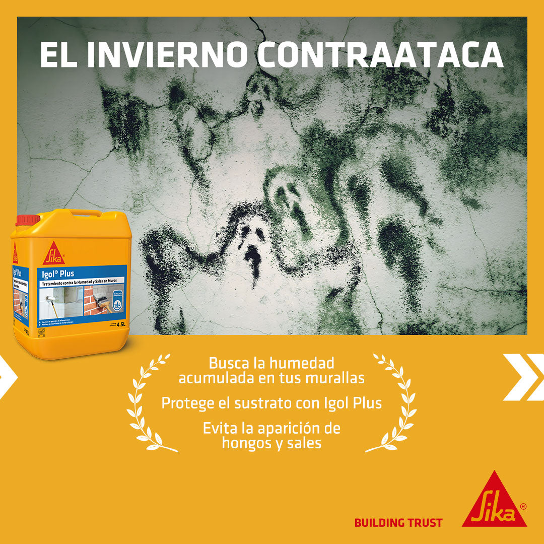 IGOL PLUS - Tratamiento para la Humedad y Sales en Muros, Bidon 4,5lts